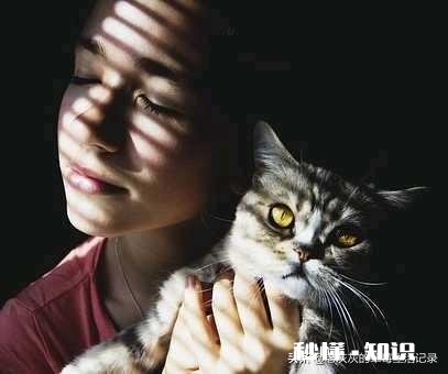 父母经常唠叨你的一句话是什么