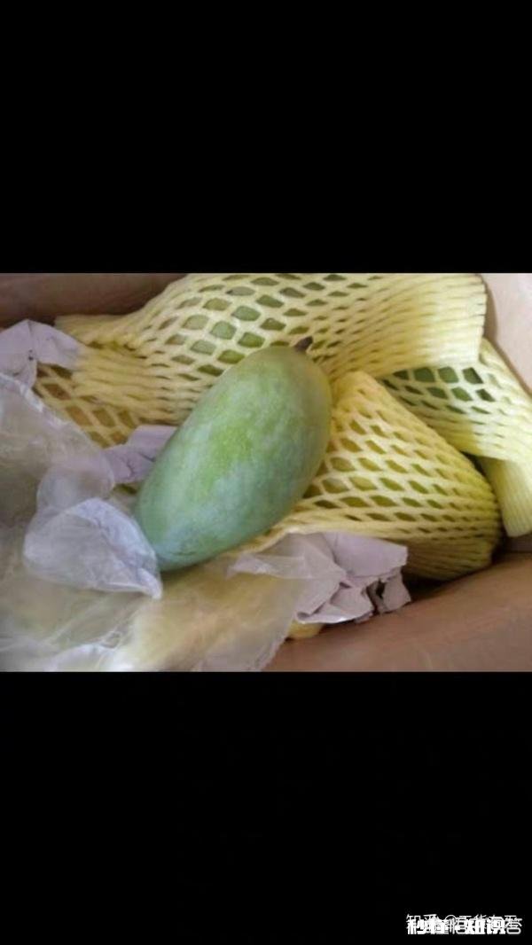 在哪里可以买到好用又便宜的东西