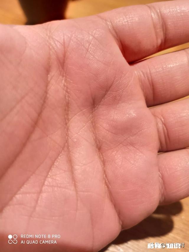 在哪里可以买到好用又便宜的东西