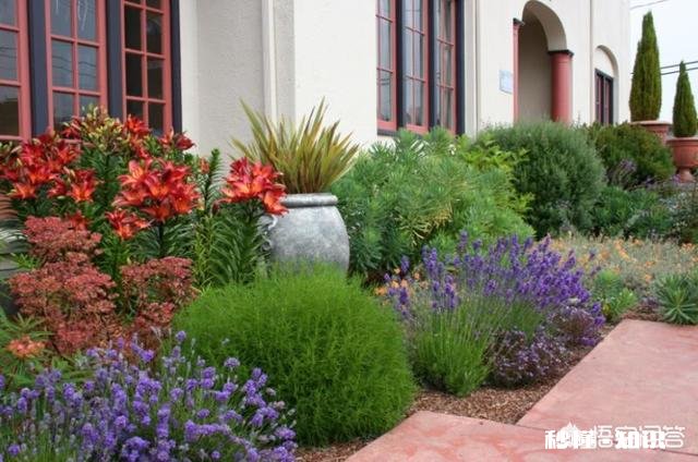 如何学好景观设计