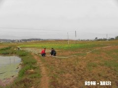 襄阳干旱什么时候有雨