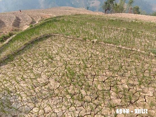 襄阳干旱什么时候有雨