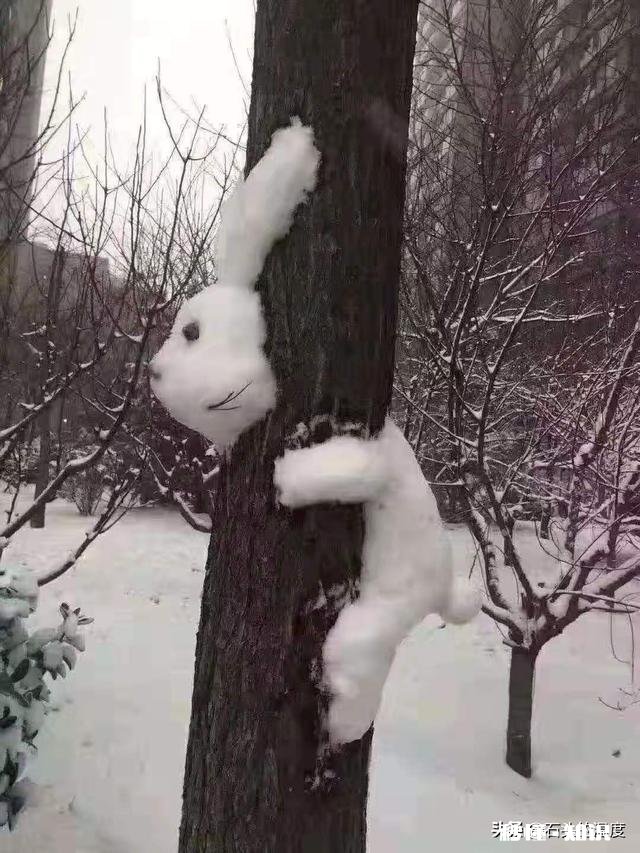 内心有一种东西，说出来伤害了亲人，不说出来伤害了自己。怎么办