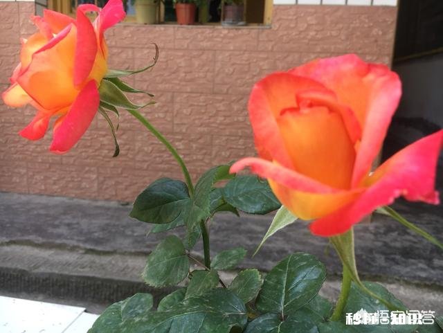 我想请问一下大家，非师范专业的考教师资格证以后出来有用吗