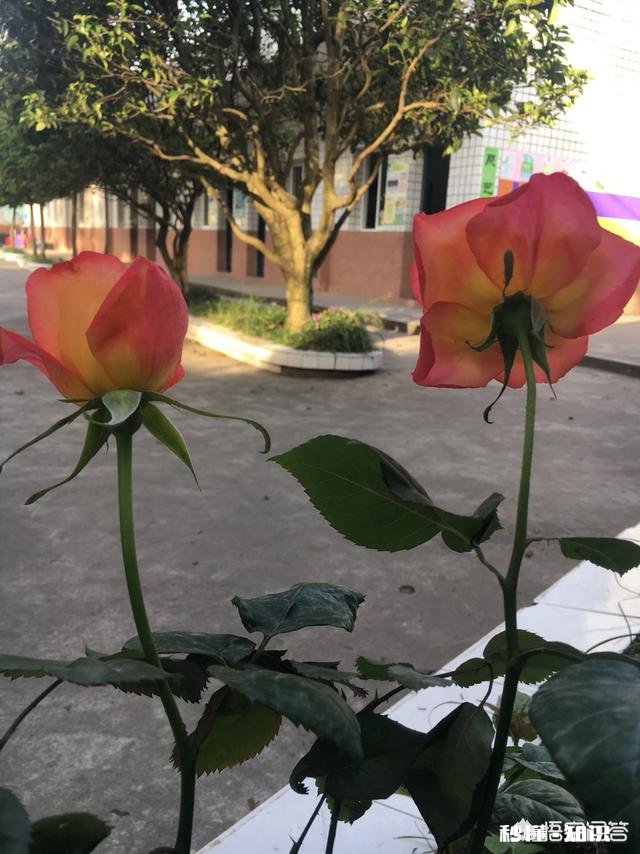 我想请问一下大家，非师范专业的考教师资格证以后出来有用吗