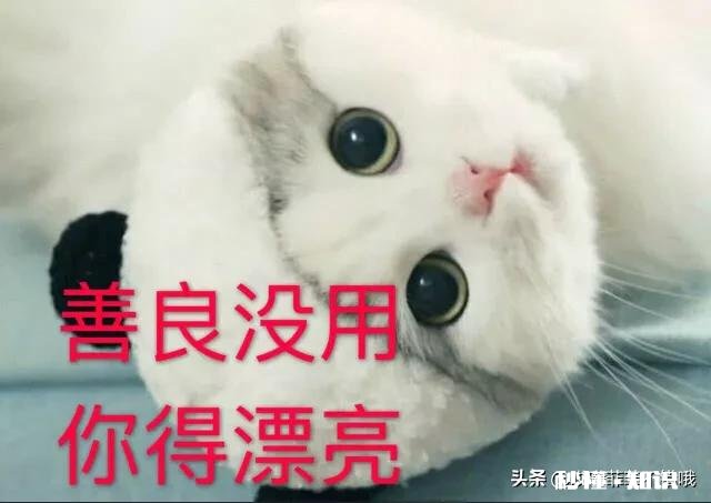 如何做对男人有吸引力的女人