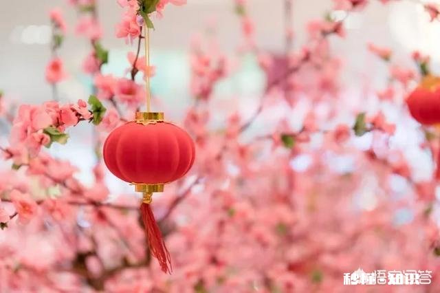 过年回家带什么礼物好呢