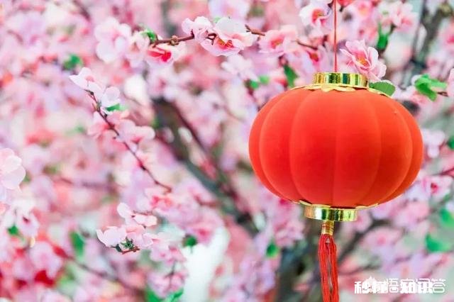 过年回家带什么礼物好呢