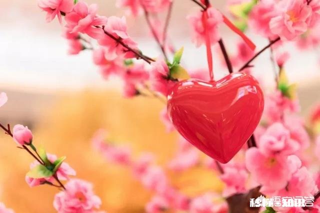 过年回家带什么礼物好呢