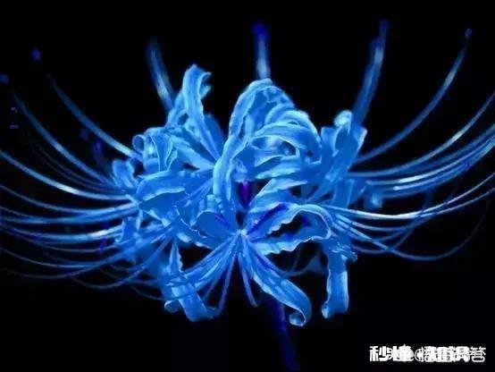 有哪些悲情的诗歌