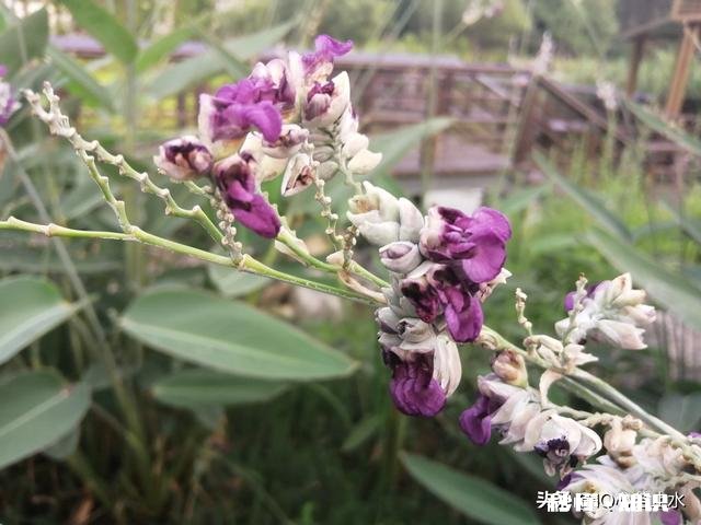 已婚生育后,独自带孩子,该给自己怎么定位呢