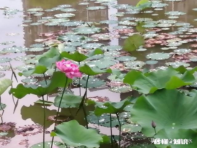 已婚生育后,独自带孩子,该给自己怎么定位呢