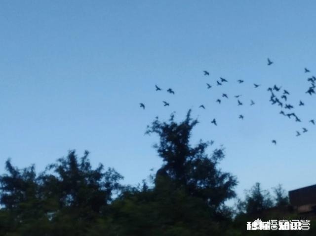 出国留学,如何平安度过最困难的前半年