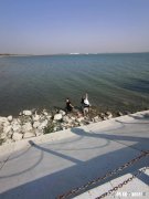 你支持永远打工吗为什么