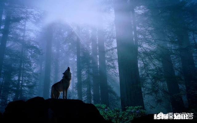 为什么好多人创业失败，还是要再去创业