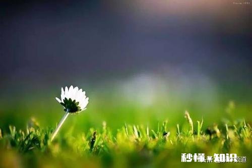 为什么好多人创业失败，还是要再去创业