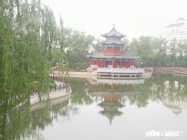 现在拍自媒体去公共场所拍,是隐蔽式拍摄,还是明着拍,你怎么看