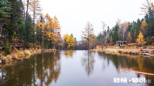情侣吵架陷入死循环怎么办