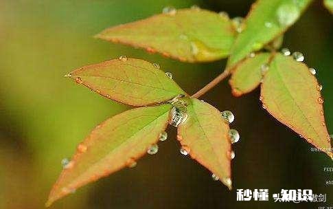 情侣吵架陷入死循环怎么办