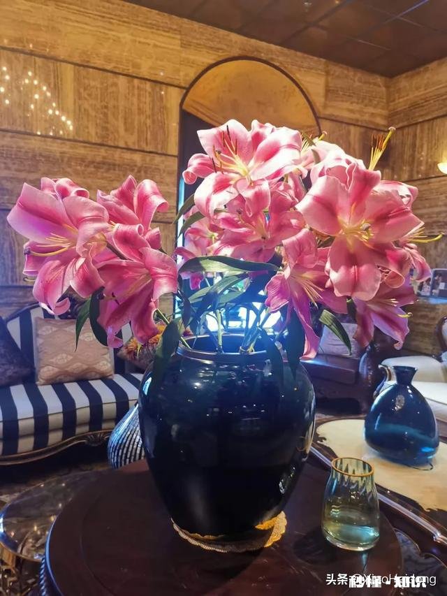 当你跟你老公吵架，你家婆是怎么做的