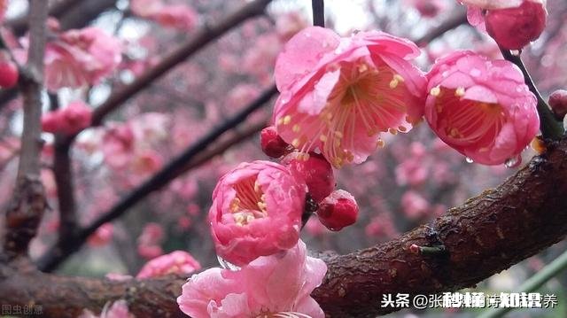 老公钱借给前女友,钱还不回来,又走的那么近,我是不是该离婚