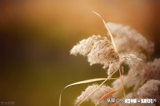 老公钱借给前女友,钱还不回来,又走的那么近,我是不是该离婚