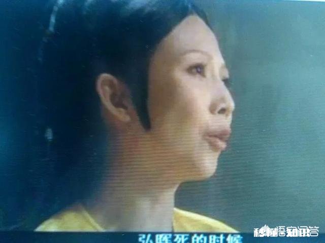 电视剧《甄嬛传》你最喜欢的角色是谁为什么