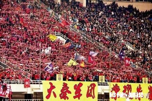 延边解散，大秦之水替补踢中甲，你认为第一年能保级吗