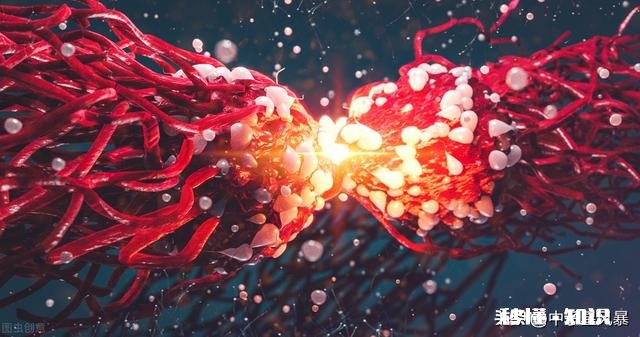 既然癌细胞可以无限增殖,那么是否可以作为某种食物来源