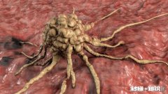 既然癌细胞可以无限增殖，那么是否可以作为某种食物来源