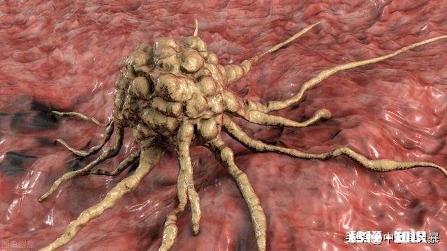 既然癌细胞可以无限增殖,那么是否可以作为某种食物来源