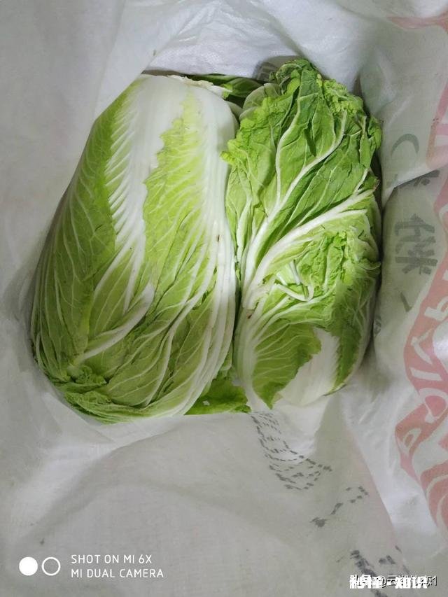 什么菜最受广大消费者的喜爱