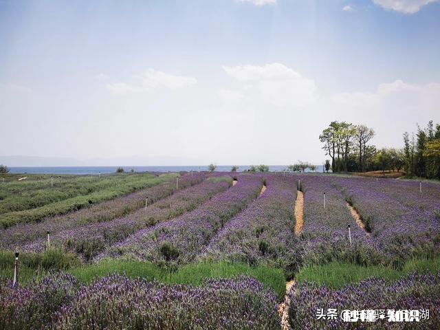 七月适合去云南旅游吗