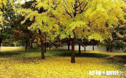 怎么样才能在工作中更好的表现自己