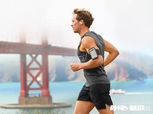 健身初学者锻炼顺序是什么