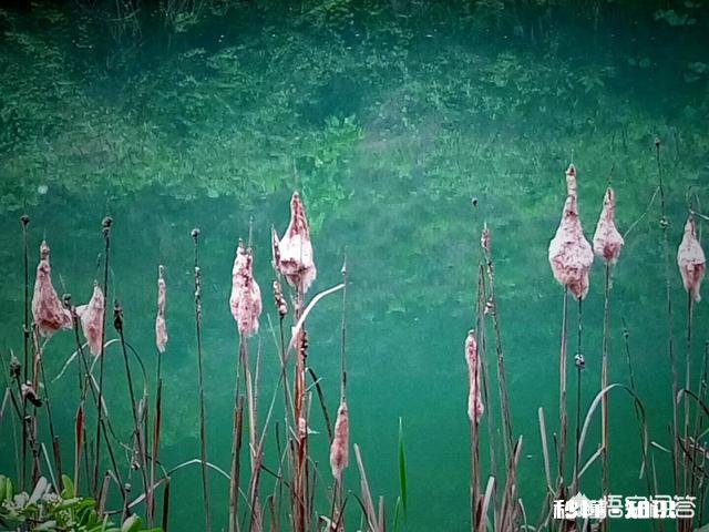 二、三线城市的房价还能涨吗你这么看