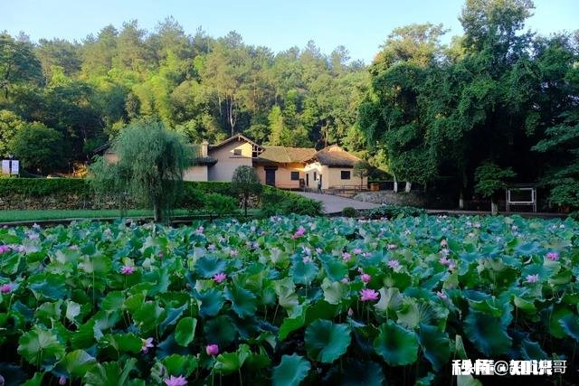 准备到了60岁走遍祖国的大好河山，能否发一张你所在城市的美景让我提前实现愿望