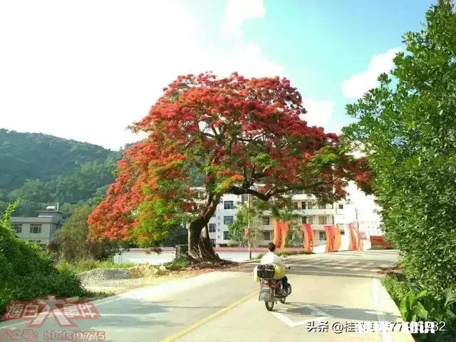 准备到了60岁走遍祖国的大好河山，能否发一张你所在城市的美景让我提前实现愿望