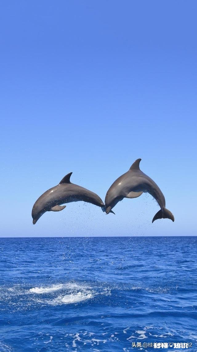 准备到了60岁走遍祖国的大好河山，能否发一张你所在城市的美景让我提前实现愿望
