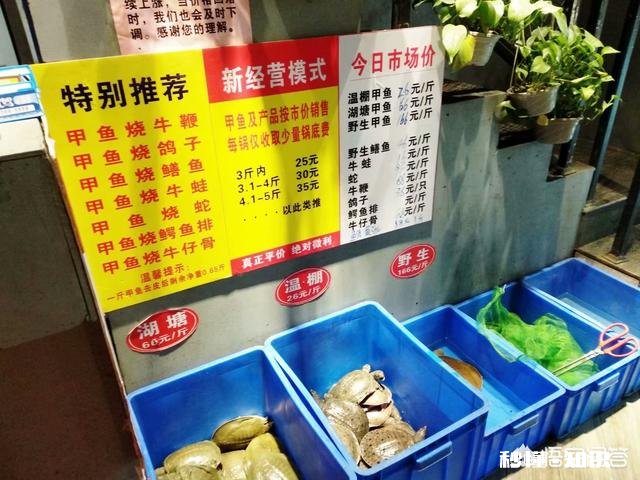 武汉大学周边有哪些特色的美食