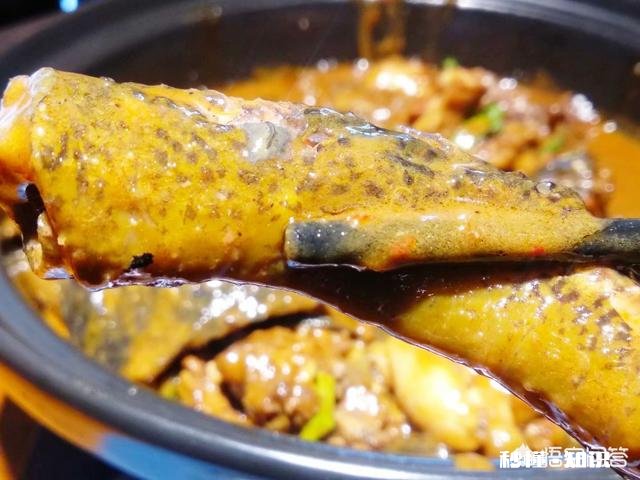 武汉大学周边有哪些特色的美食