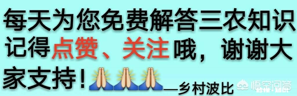 在非洲猪瘟出现的省份,农民自家无证卖猪肉是否该禁止