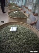 送礼选什么茶叶好中茶黑茶这个牌子怎么样