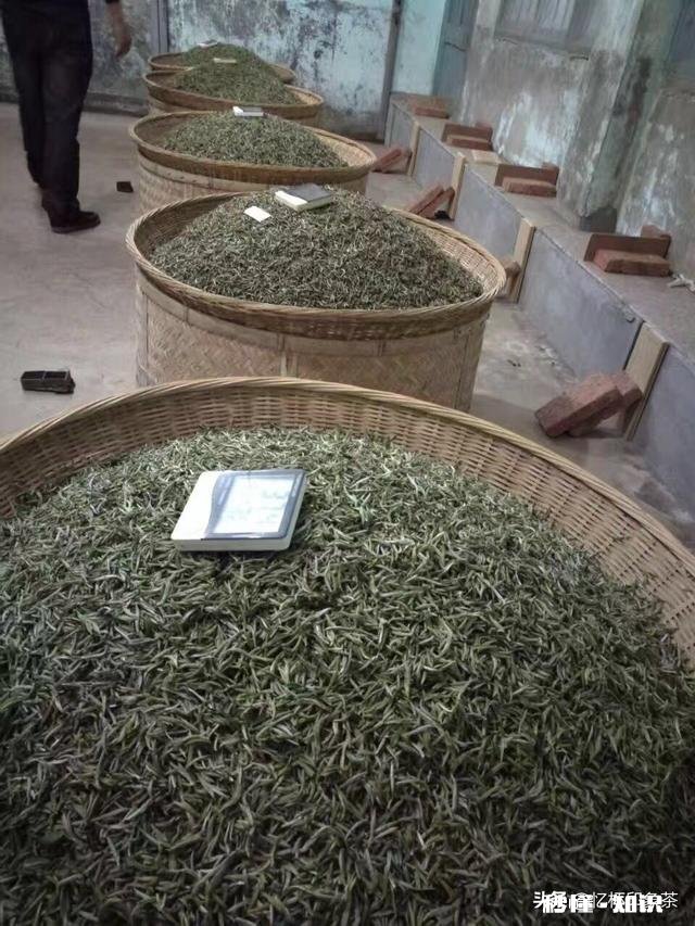 送礼选什么茶叶好中茶黑茶这个牌子怎么样