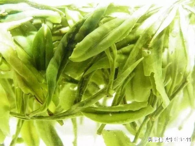 送礼选什么茶叶好中茶黑茶这个牌子怎么样
