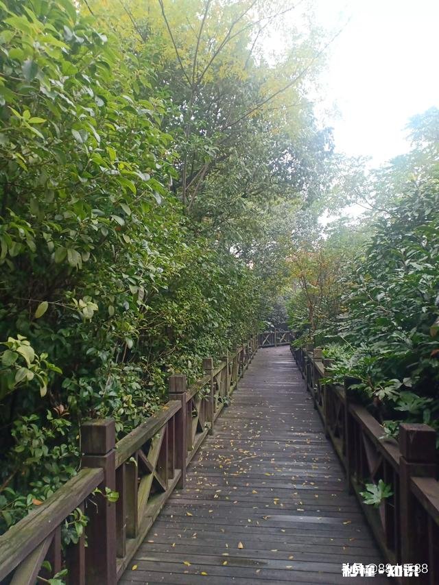 别人欠我3000不还，值得打官司吗