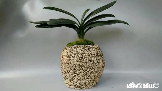 悟空问答中，每个问题的优质回答数量有限制吗