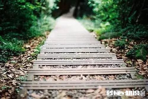 悟空问答中，每个问题的优质回答数量有限制吗