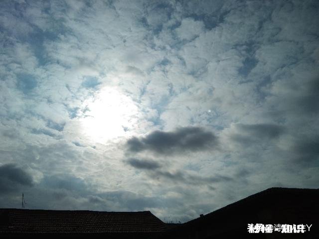一年四季各有千秋,春花秋实夏雨冬雪,你更喜欢哪个季节呢