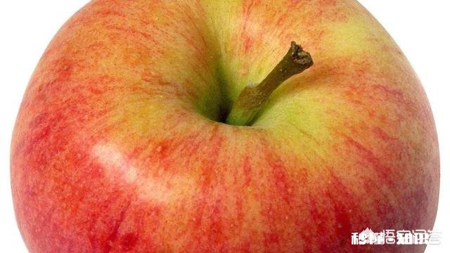 宝宝拉肚子吃什么